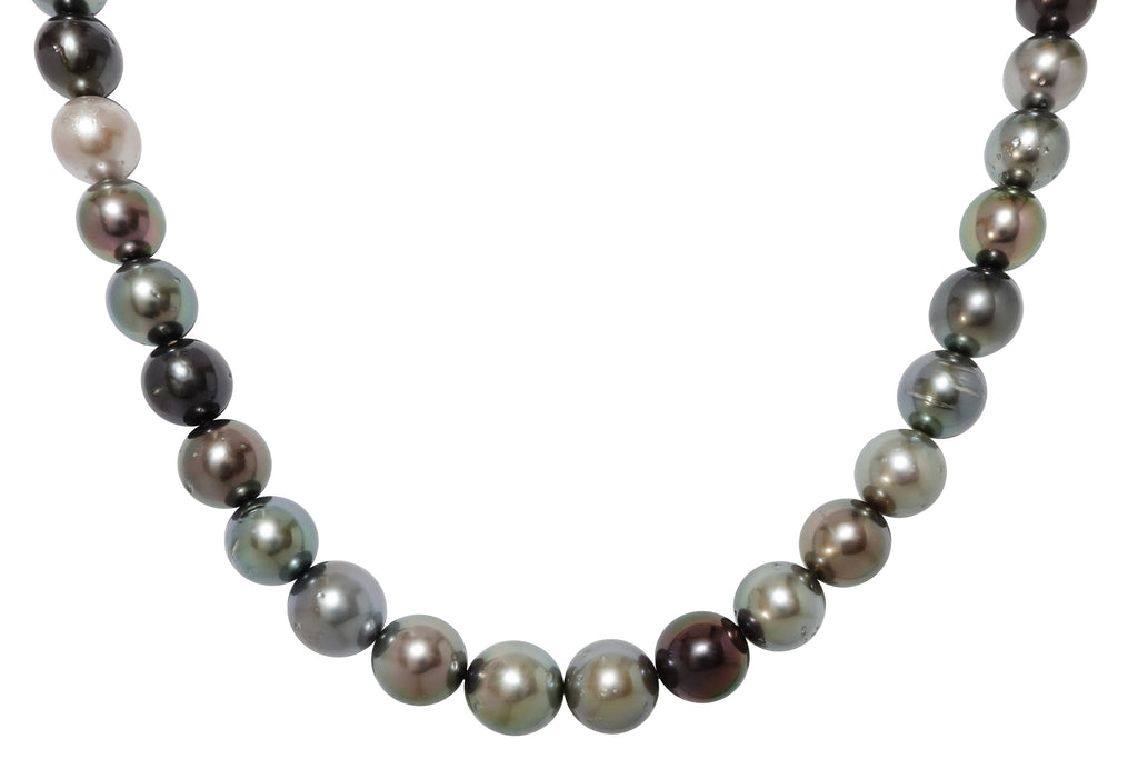 Black Pearl SV黒蝶(マルチカラー）パールネックレス (NO.50389) – JEX 