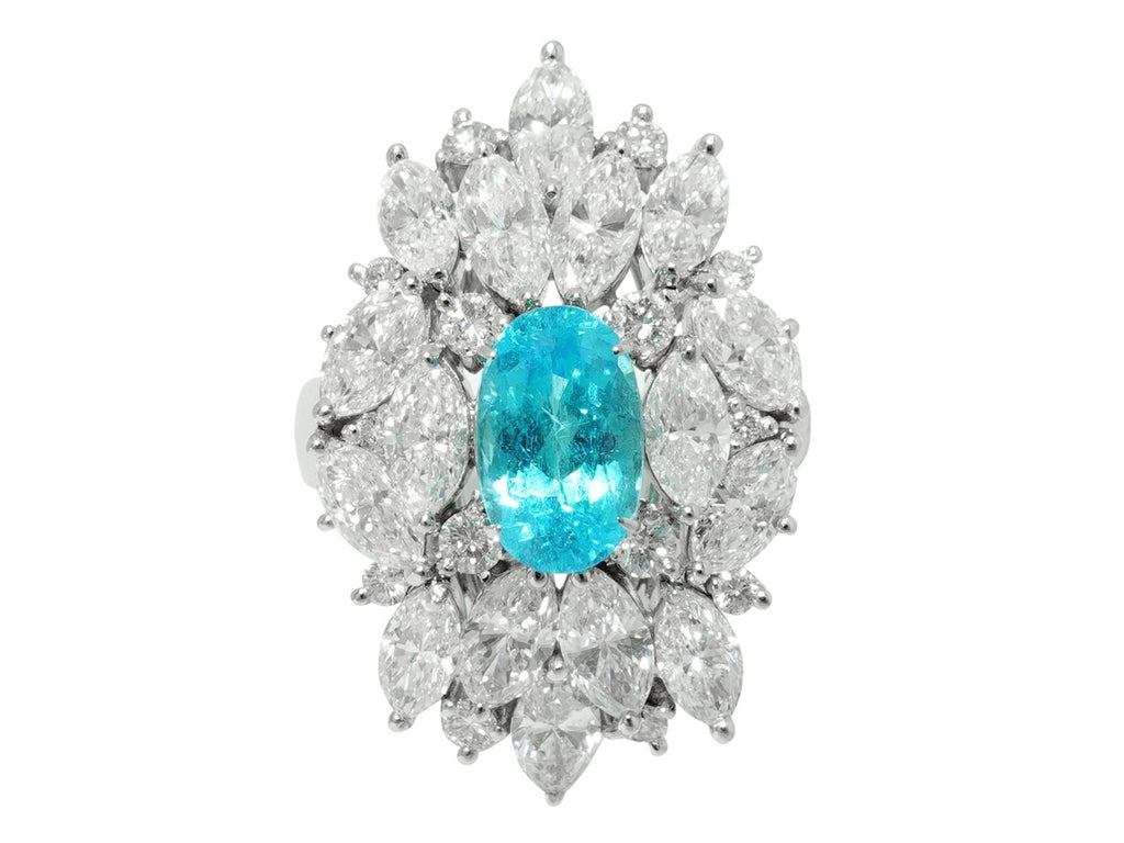 Paraiba Tourmaline Pt900パライバトルマリン ダイヤモンドリング (NO