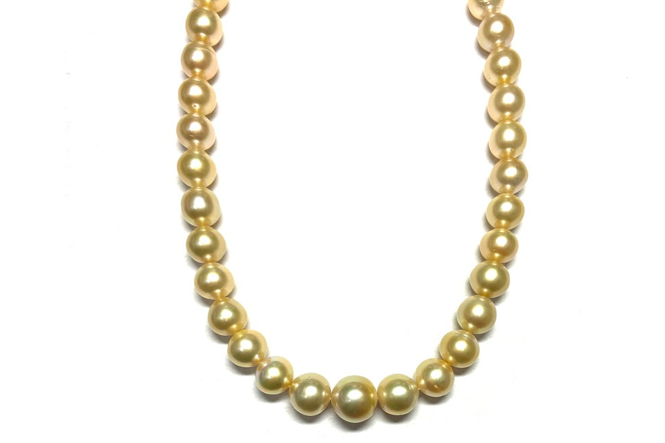 South Sea Pearl SV白蝶パール(ゴールド系）ネックレス (NO.50206)