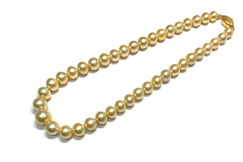 South Sea Pearl SV白蝶パール(ゴールド系）ネックレス (NO.50206)