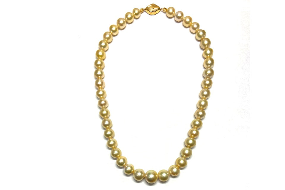 South Sea Pearl SV白蝶パール(ゴールド系）ネックレス (NO.50206)