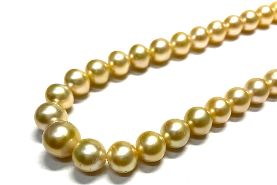 South Sea Pearl SV白蝶パール(ゴールド系）ネックレス (NO.50206)
