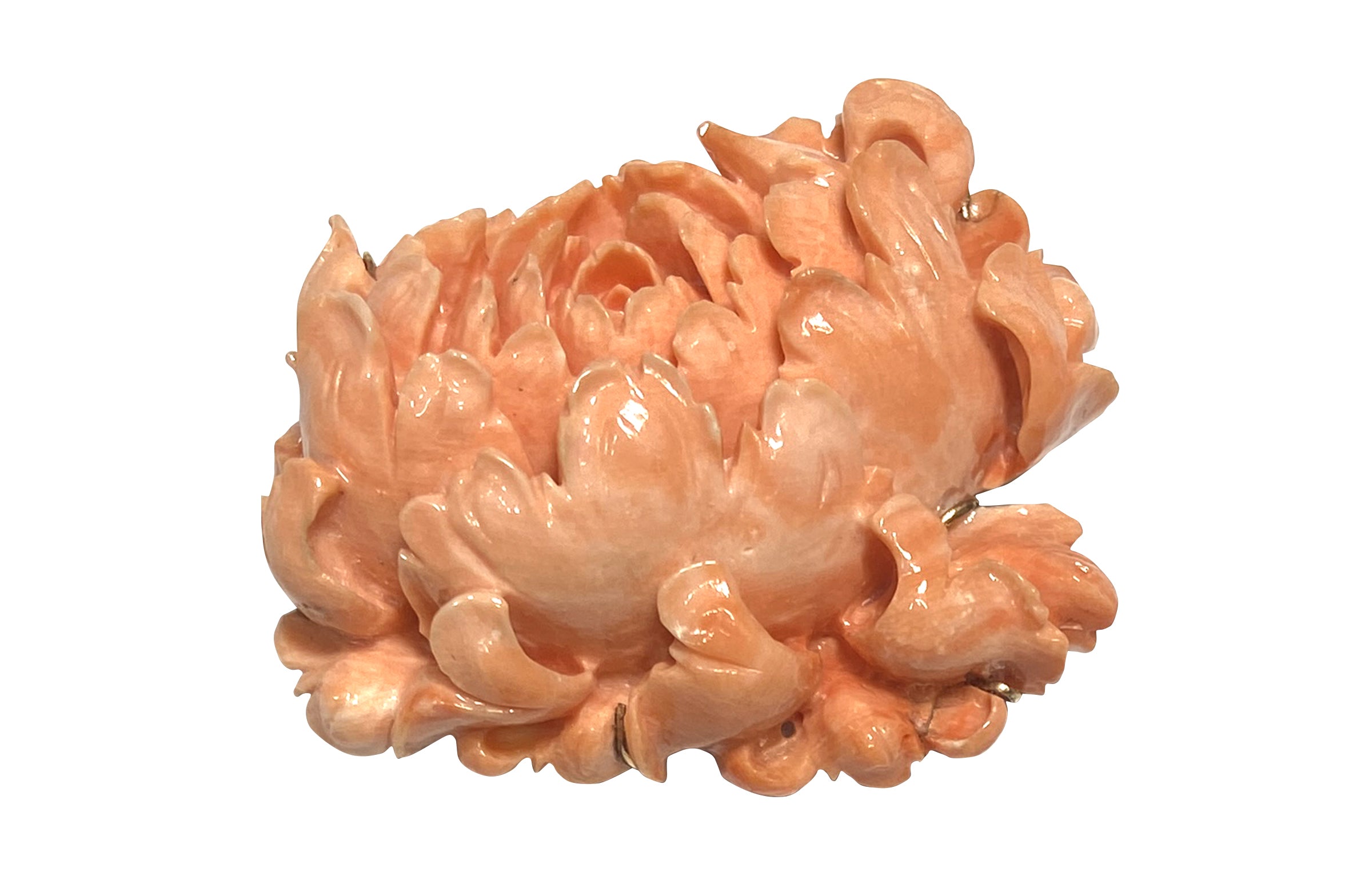 珊瑚　(1) 1円〜!!（天然赤珊瑚おまとめ75.5ct）d 約5.2~10.6