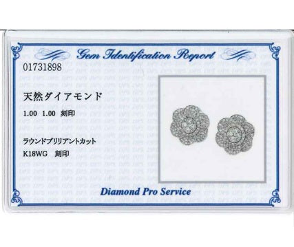 Brown Diamond K18WGブラウンダイヤモンドピアス (NO.62206)