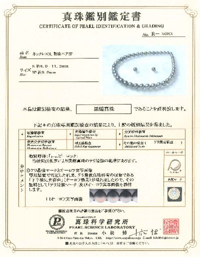 Black Pearl SV黒蝶パールネックレス＆K18WG黒蝶パール　ダイヤモンドイヤリング (NO.304600)