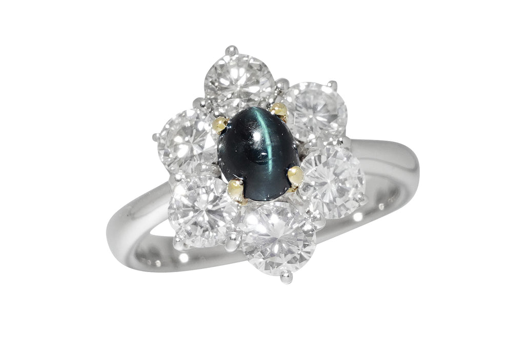 Alexandrite Cat