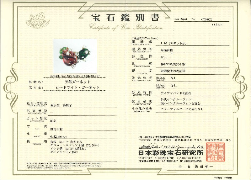 Bruce Harding 【ブルース  ハーディング】K18/Ptロードライトガーネット クロムトルマリン ダイヤリング (NO.49441)