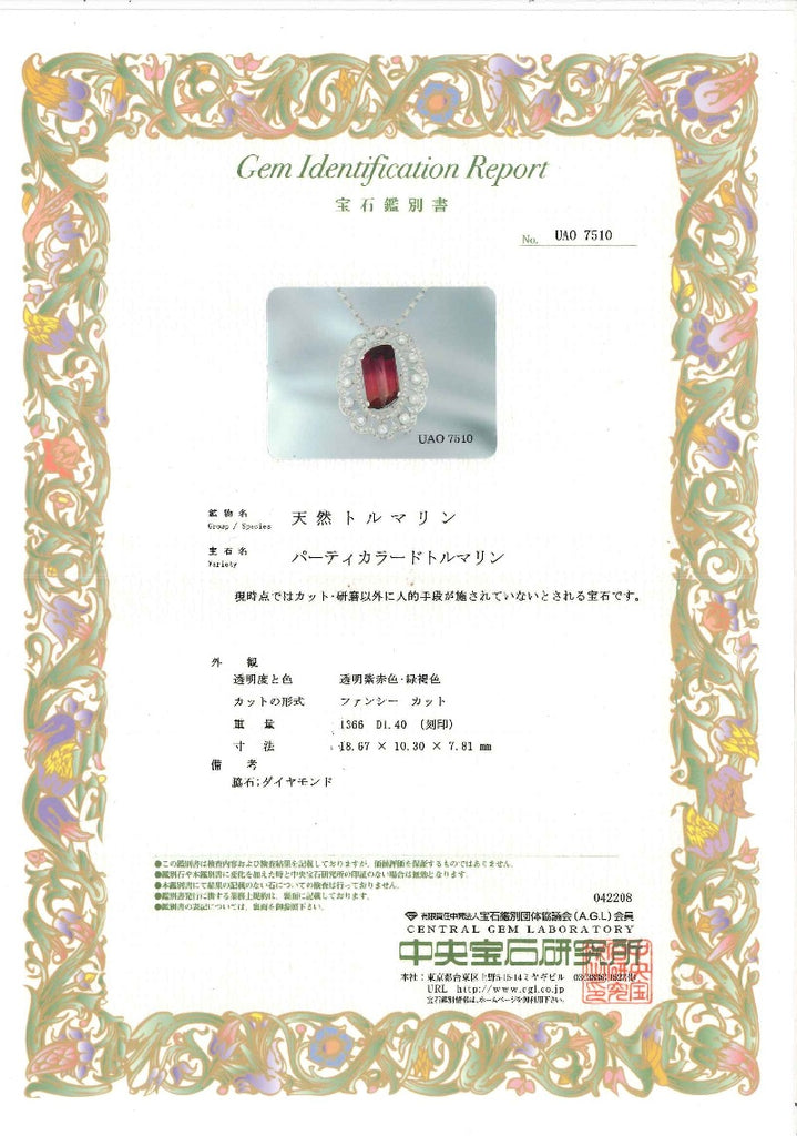 Bicolor Tourmaline K18WGバイカラートルマリン ダイヤモンドペンダント兼ブローチ (NO.49895)