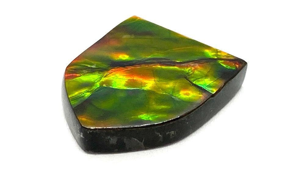 Ammolite アンモライトルース(No.61710) – JEX宝石ギャラリー