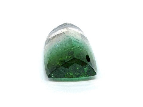 Bicolor Tourmaline バイカラートルマリンルース(No.125242) – JEX宝石 